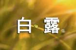 白露如何養(yǎng)生