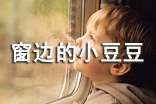 窗邊的小豆豆作文(通用33篇)