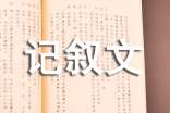 我眼中的德文化記敘文700字(通用54篇)