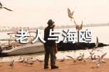 老人與海鷗-優(yōu)秀教學(xué)設(shè)計