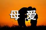 寫母愛的小學(xué)生作文