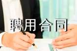 高管聘用合同范本