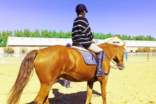 騎馬的三大注意事項(xiàng)