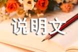 說明文的作文300字