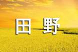 美麗的田野作文