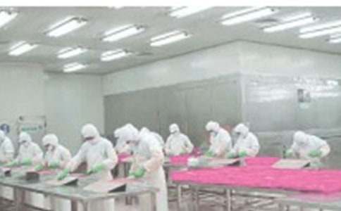 늽�܇�g��(sh��)��(x��)���Y(ji��)����ȫ4ƪ��