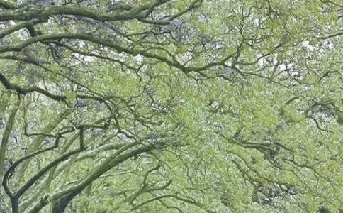 �D(li��n)���L(f��ng)�Є�(d��ng)�������Y(ji��)