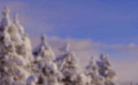 �����Ķ�������(����15ƪ)