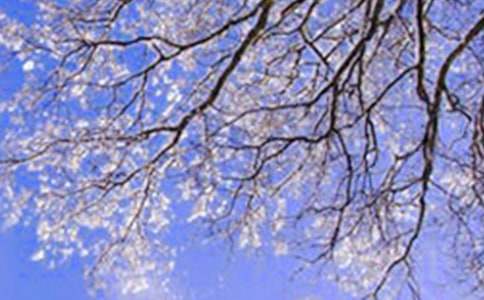 �����Ķ������ġ�����