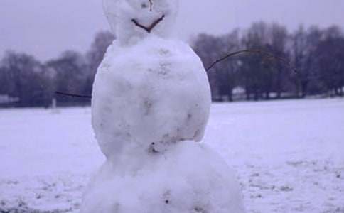 我愛潔白的冬天作文