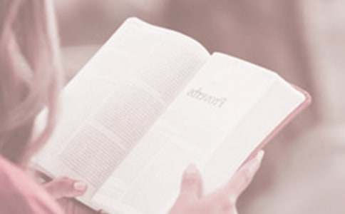 [�؂�]�����x���ջ��(d��ng)��(bi��o)�Z(y��)