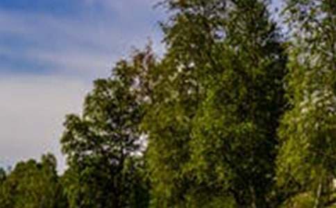 ��(y��u)���L(f��ng)������(�ϼ�15ƪ)