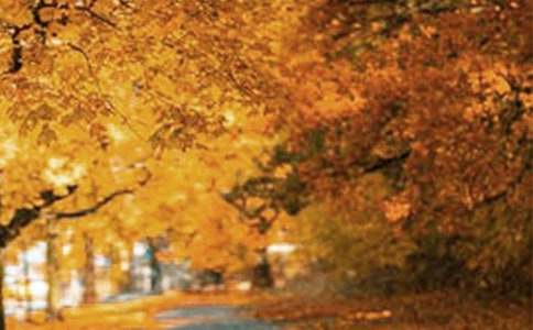 ��(y��u)���L(f��ng)��������