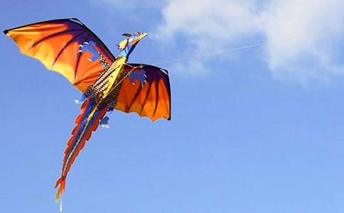 ���ӷ��L(f��ng)�~����800��