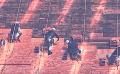 ���P(gu��n)���،���(x��)��ӛģ���\��8ƪ