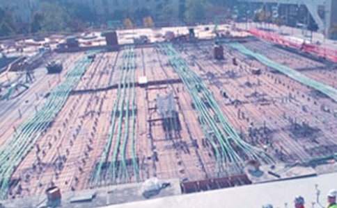 ���،������˹������Y(15ƪ)