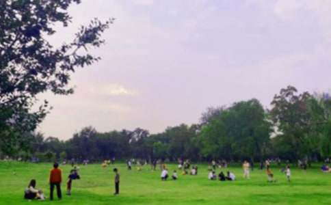 ���x���@����������4ƪ