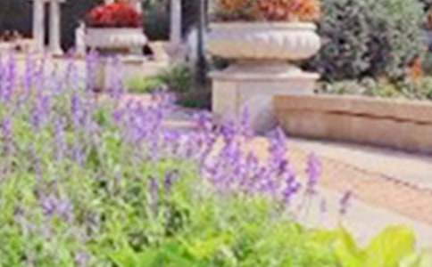 �茑���@���ąR��5ƪ