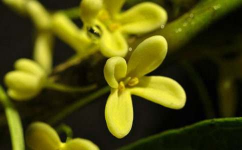 �ù𻨽������˵ľ���