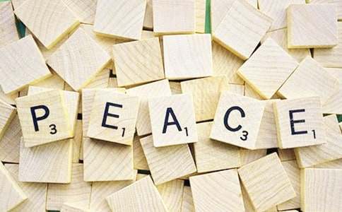 志愿軍之浴血和平觀后感(精選24篇)