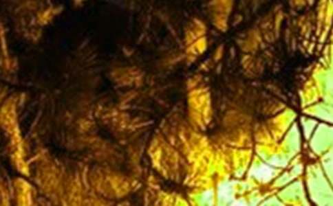 �����P(gu��n)�ڻ��(z��i)���h��(sh��)