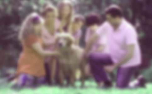 �D(li��n)��ͥ�����������Y(ji��)�����x13ƪ��