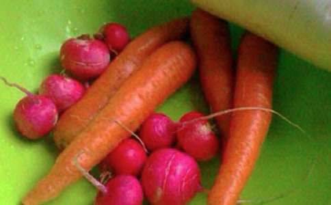 �l(xi��ng)�(zh��n)�l(w��i)�������������Y(ji��)