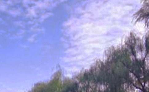 鄉(xiāng)村景色作文四年級下冊