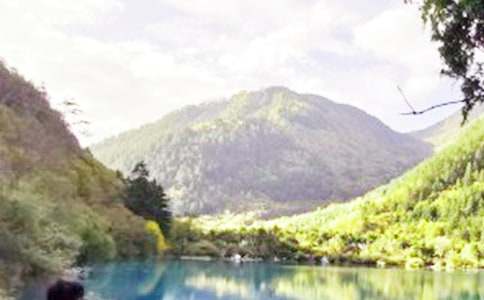 �P(gu��n)�ھ�կ�ό�(d��o)���~