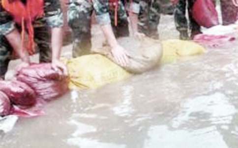 �o����Ȟ�(z��i)��(zh��n)ʿ��һ����x��