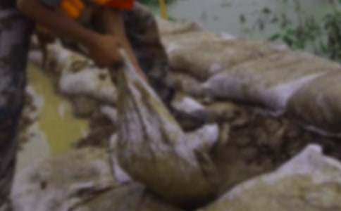 抗洪救災(zāi)個人先進事跡最新(精選34篇)