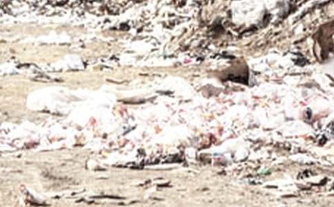 ��������Ͱ���ģ����x23ƪ��