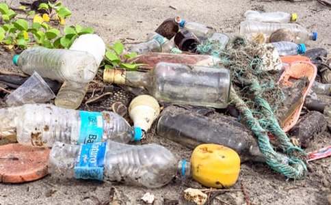 垃圾箱前作文(通用91篇)