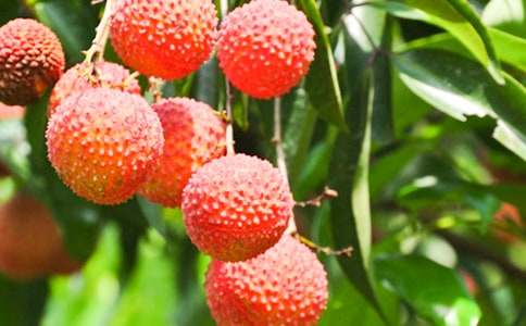 ��֦��(sh��)����