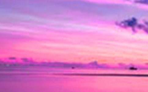 �����o̎��������