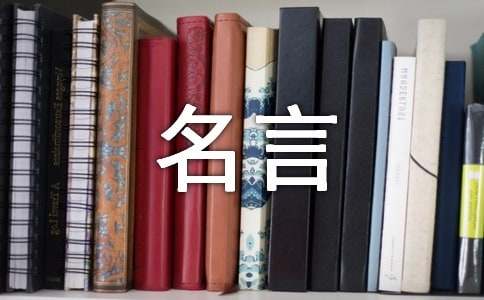 ���|���_�e����