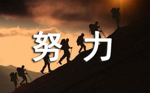 個(gè)人年度工作總結(jié)及明年努力方向通用