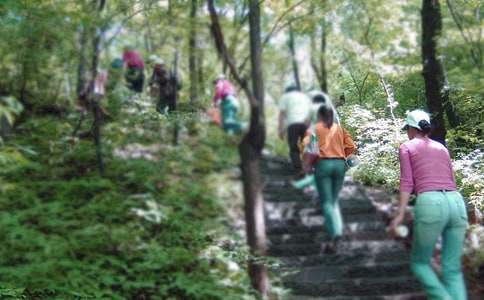 ��ɽ��ӵĲ߄���