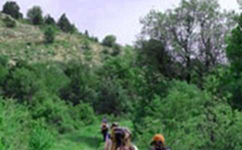 ��ɽ��ӵĲ߄���15ƪ