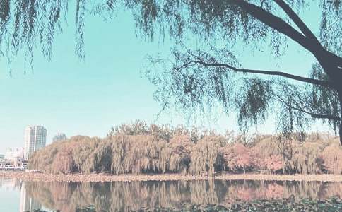 我愛秋季作文(精選51篇)