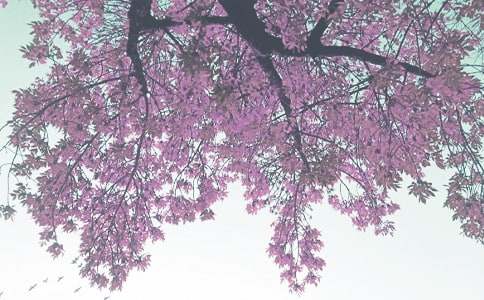 �Ґ��＾����(�ϼ�15ƪ)