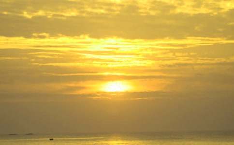 �茑����ճ��ľ���