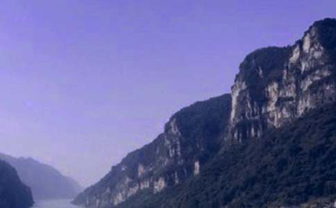 ���{�Č�(d��o)���~�����T��