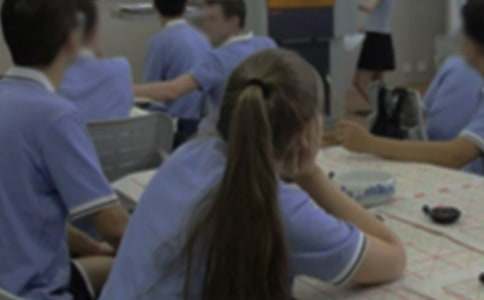 ���n�t���zӑ��(sh��)