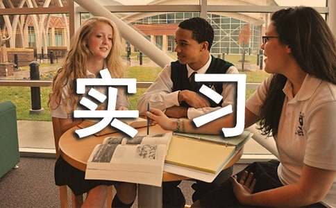 實(shí)習(xí)生試用期工作總結(jié)范文