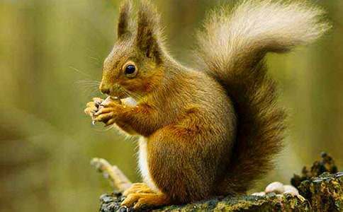 С��������[��15ƪ]