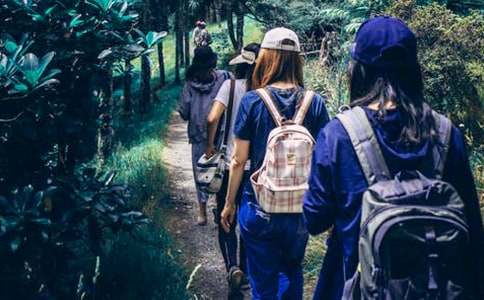 ��һƪͬ�W֮�g�����P(gu��n)�ĵ���������17ƪ