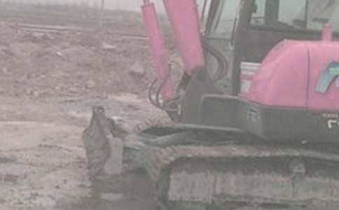 �ھ�C(j��)���U��ͬ�����x15ƪ��