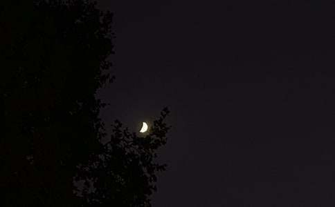 ��������������ժ�360��