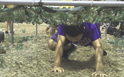 �������I�ĵ��w��(hu��)�����x20ƪ��